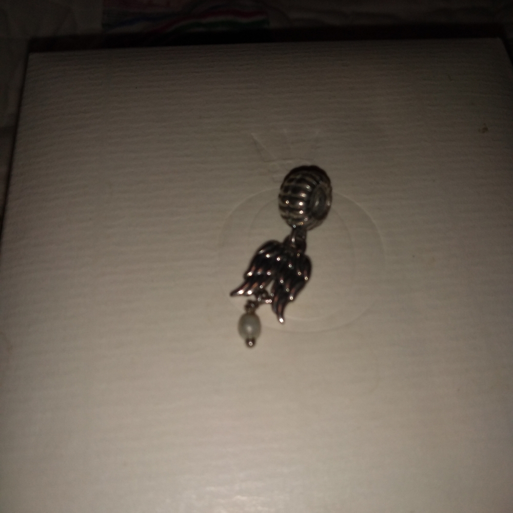Authentic Pandora Sterling Silver charm in mint condition